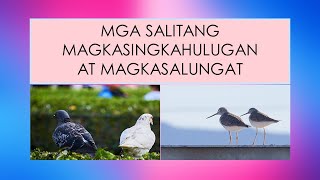 Magkasingkahulugan o Magkasalungat [upl. by Richard]