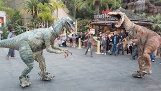 Attack of the Raptors at Universal Studios Hollywood for JurassicPark25 event [upl. by Arotal]