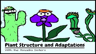 OLD VIDEO Plant Structure and Adaptations [upl. by Chernow57]