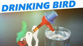 How a drinking bird toy works [upl. by Wenoa349]