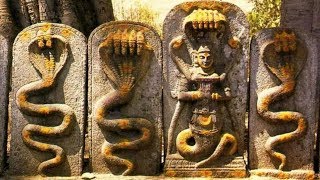 Nag Panchami  Vasuki Snake Gayatri Mantra  Powerful Mantra To Remove Naga amp Kala Sarpa Dosha [upl. by Nilcaj872]