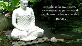 100 Quotes by Gautama Buddha [upl. by Weismann806]