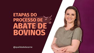 PROCESSO DE ABATE DE BOVINOS [upl. by Strickman]