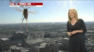 Bee attacks Meteorologist Jennifer Ketchmark during weather forecast [upl. by Skye803]