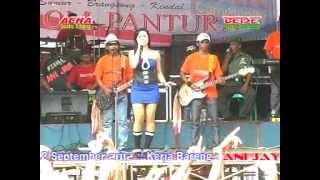 PANTURA Secawan madu byAcha kumala live in sumurbrangsong [upl. by Adieno606]