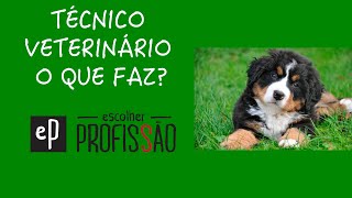 TÉCNICO VETERINÁRIO O QUE FAZ [upl. by Gwenette615]