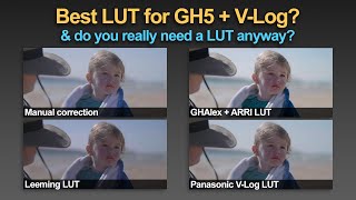 Best LUT for VLog GHAlex vs Leeming vs Panasonic vs Manual CC [upl. by Hedgcock]