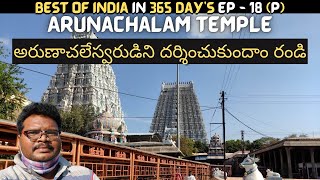 Arunachalam temple full tour in telugu  Tiruvannamalai  Arunachalam temple information  Tamilnadu [upl. by Vincent617]