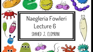 7 Naegleria Fowleri [upl. by Juan]