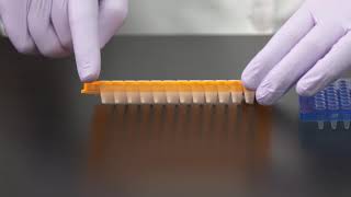 Learn How to Choose a PCR Plate [upl. by Panther]