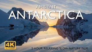 Ambient Antarctica 4K  2hour relaxing slow nature film [upl. by Nahsar738]