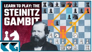 Chess Openings Learn to Play the Steinitz Gambit Vienna Gambit Theory Against Max Lange Defense [upl. by Anitan601]