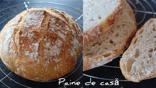 PAINE DE CASA  Reteta si trucuri pentru paine de casa 🥖 painedecasa [upl. by Nedyah]