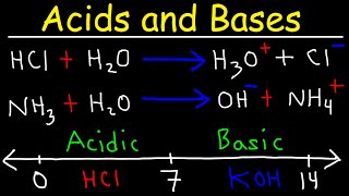 Acids and Bases  Basic Introduction  Chemistry [upl. by Ennaimaj162]