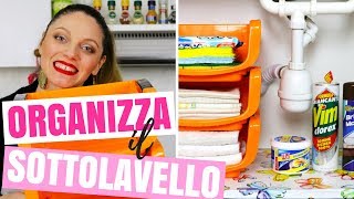 COME ORGANIZZARE IL SOTTOLAVELLO 10 IDEE PER TENERE IN ORDINE IL SOTTO LAVANDINO  CASA ORGANIZZATA [upl. by Anika]