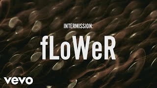 ZAYN  INTERMISSION fLoWer Lyric Video [upl. by Folly904]