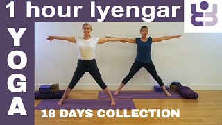 One Hour Iyengar Yoga Class  18 Days of Yoga Collection [upl. by Drahsir]