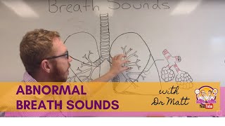 Abnormal Breath Sounds  Respiratory System [upl. by Eshman]