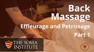 General Back Protocol Beginning Effleurage and Petrissage Techniques Part 1 [upl. by Urba951]