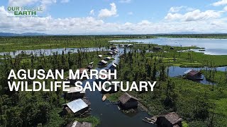 Our Fragile Earth S2E8 Agusan Marsh Wildlife Sanctuary amp Mabini Protected Landscape and Seascape [upl. by Cresa989]