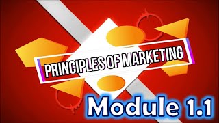 Principles of Marketing MKT121  Module 11 [upl. by Donaugh604]