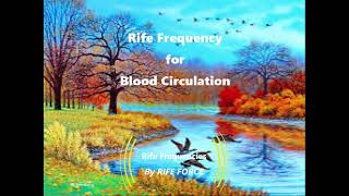 Blood Circulation  Rife Frequency [upl. by Kcerb776]