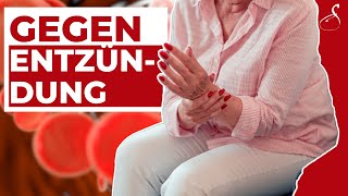 ERNÄHRUNG gegen ENTZÜNDUNG  RHEUMA│ SanoGym [upl. by Dublin]