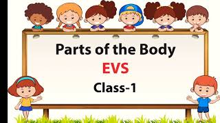 Parts Of The Body EVS Class 1 My Body [upl. by Roddie]