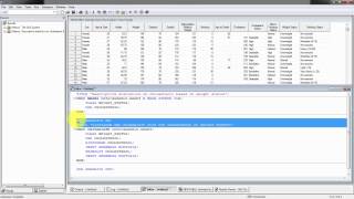 SAS Statistics  Descriptive Statistics Module 01 [upl. by Kcirddec]