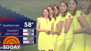 TV Meteorologist Gets Duplicated In Hilarious Green Screen Mishap [upl. by Westlund]