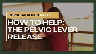 Horse Back Pain Part 3 How to Help The Pelvic Lever Release [upl. by Anselme]