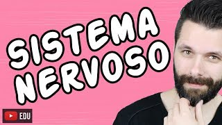 SISTEMA NERVOSO  FISIOLOGIA  Aula  Biologia com Samuel Cunha [upl. by Aniretak]