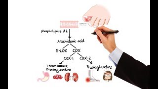 Pharmacology  NSAIDs amp PROSTAGLANDIN ANALOGS MADE EASY [upl. by Ahsienel]