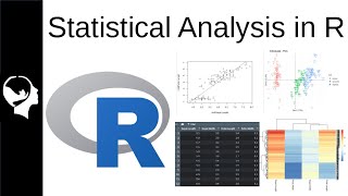 Running Basic Statistical Analysis in R [upl. by Asel856]