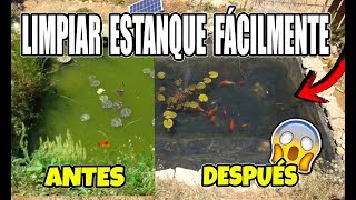 Cómo LIMPIAR ESTANQUE con PECES FÁCIL Y RÁPIDO HD [upl. by Walston515]