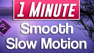 Premiere Pro  Smooth Slow Motion Tutorial With 30fps footage [upl. by Slayton]