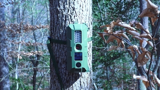 Bresser 5mp game camera review [upl. by Hauck]