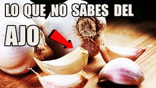 ANTES DE COMER AJO MIRA ESTE VIDEO  Guia Completa de la siembra del AJO [upl. by Trixy]