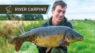 River Carp Fishing for BEAUTIFUL Carp [upl. by Rialcnis]