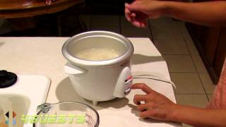 KITCHEN GOURMET RICE COOKER [upl. by Noremak]