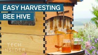 Crowdfunded Beehive Provides Honey On Tap [upl. by Poland602]