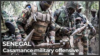 Senegal army captures MFDC rebel bases in Casamance region [upl. by Laynad]