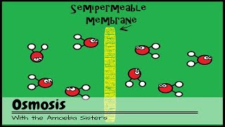 OLD VIDEO Osmosis [upl. by Evans]