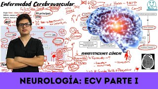 Stroke amp Cerebral Ischemia – Pathology  Lecturio [upl. by Treboh691]