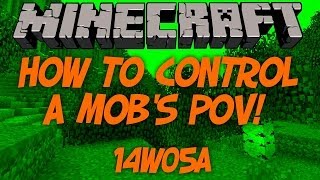 Minecraft 14w11a HOW TO CONTROL A MOBS POV [upl. by Fergus]