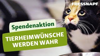 Die Spendenaktion für Tierheime – „Tierheimwünsche werden wahr“ [upl. by Monahan]