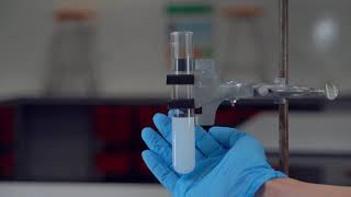 Reaction Rate  Hydrochloric acid  Sodium Thiosulfate Concentration [upl. by Artemla]