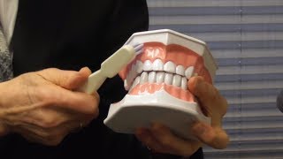 How to Brush Your Teeth With Gum Recession [upl. by Eseela]