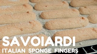 SAVOIARDI Biscuits  Italian SPONGE FINGERS  Tiramisu LADYFINGERS [upl. by Alyk]