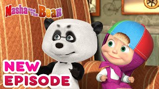 Masha and the Bear 💥🎬 NEW EPISODE 🎬💥 Best cartoon collection 🎪 Variety Show [upl. by Currey]